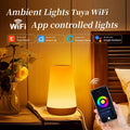 Smart RGB Dimmable Night Lamp